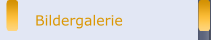 Bildergalerie